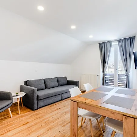 Skok With Rafting And Free Parking Guest house