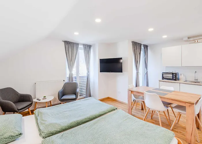 Skok With Rafting And Free Parking 3* Bovec